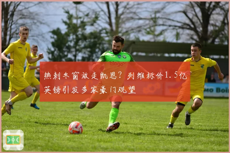 热刺冬窗放走凯恩?列维标价1.5亿英镑引发多家豪门观望