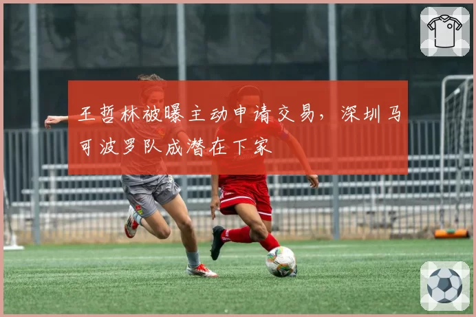 王哲林被曝主动申请交易，深圳马可波罗队成潜在下家
