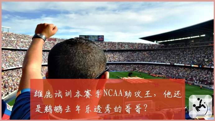 雄鹿试训本赛季NCAA助攻王,他还是鹈鹕去年乐透秀的哥哥?